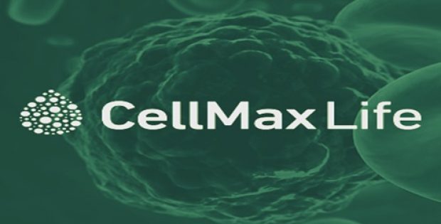 CellMax & Medigen tie up on colorectal cancer cell therapy trials