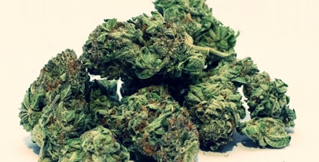 Invictus signs agreement to supply premium cannabis products