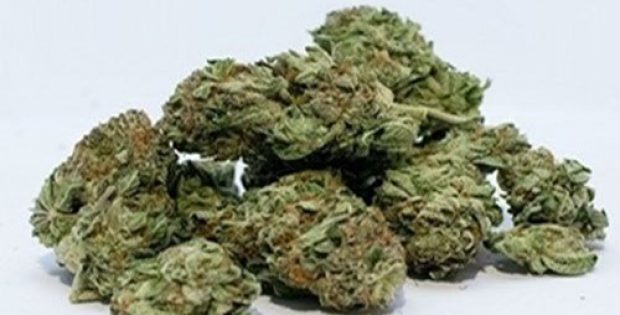 Medlab, Chronic Pain Australia to promote info on medicinal cannabis